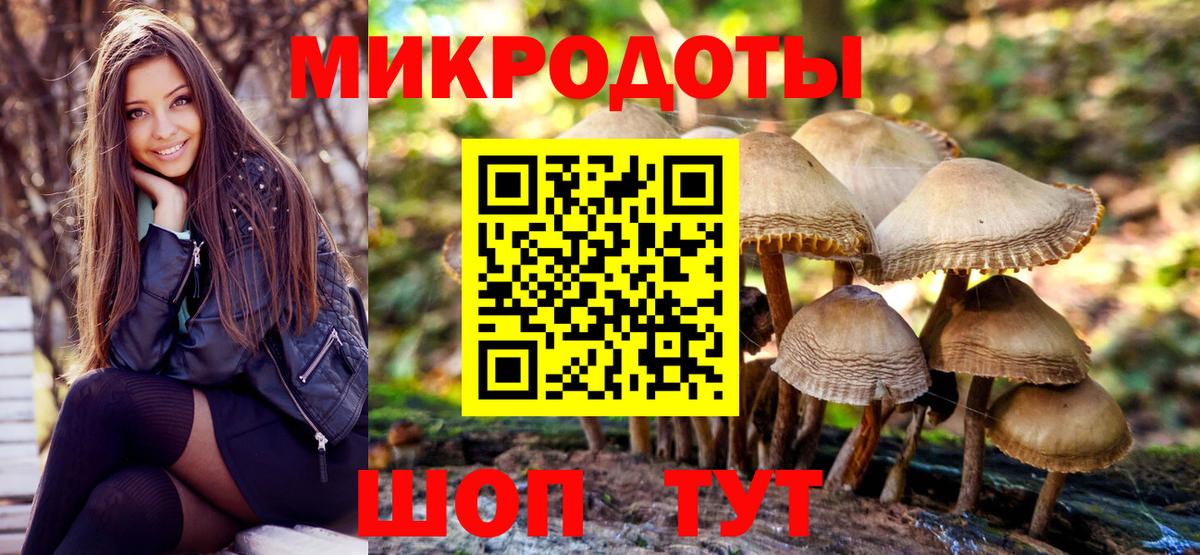Псилоцибиновые грибы мухоморы  Вход с VPN  Галлюциногенные грибы Psilocybe  Горячий Ключ 